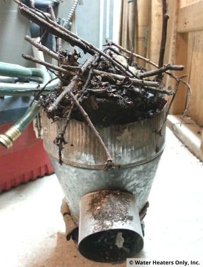 Water heater vent clogged with a bird nest